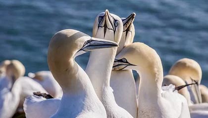 爱游戏app-社交媒体热议：谁是本赛季最耀眼的车手？