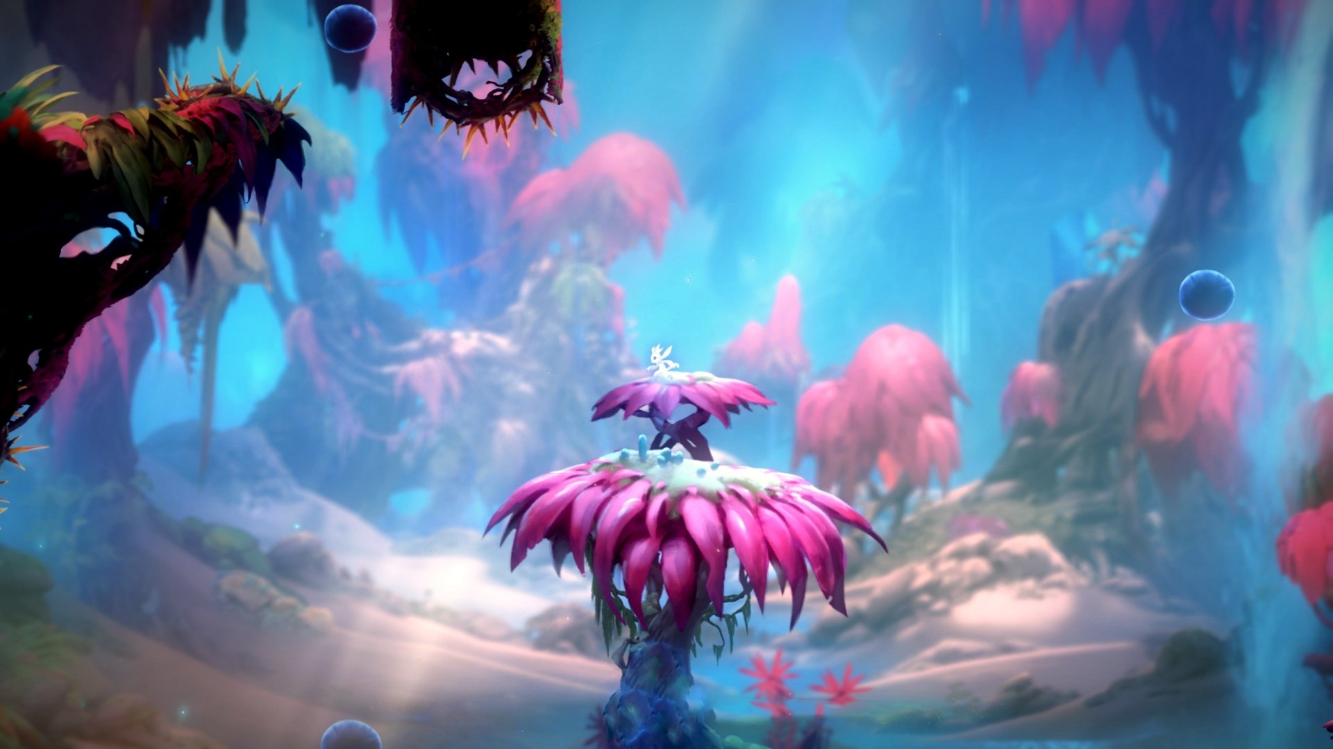 AYX SPORTS-_极限风筝冲浪：在海风中追逐自由_，极限风筝视频