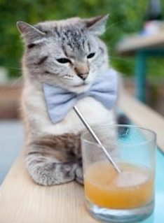 “青训学院引入虚拟现实学习平台，创新培养模式”，青训课是什么意思