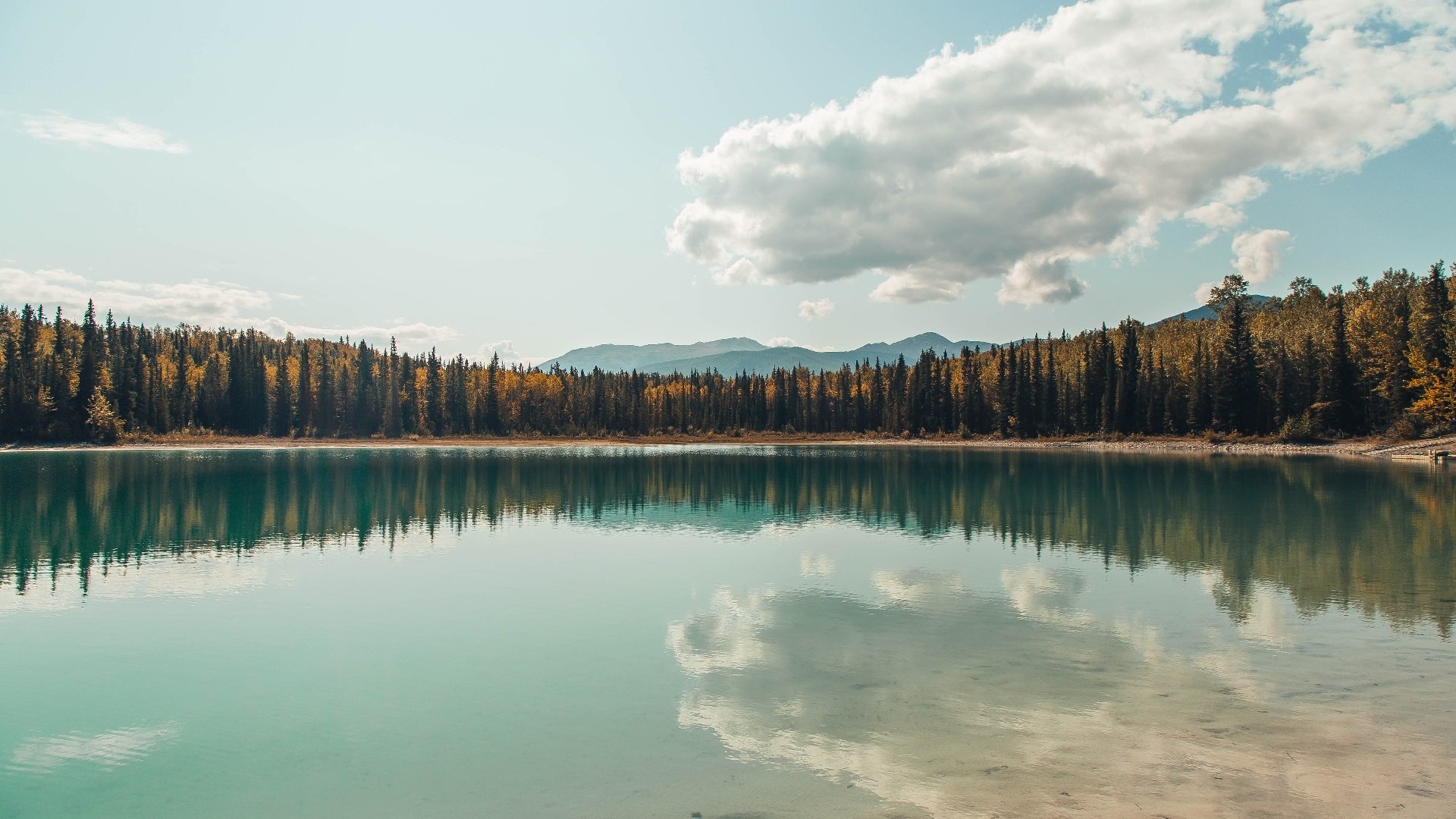 红牛队开发出新引擎，目标下赛季霸主，红牛集团球队