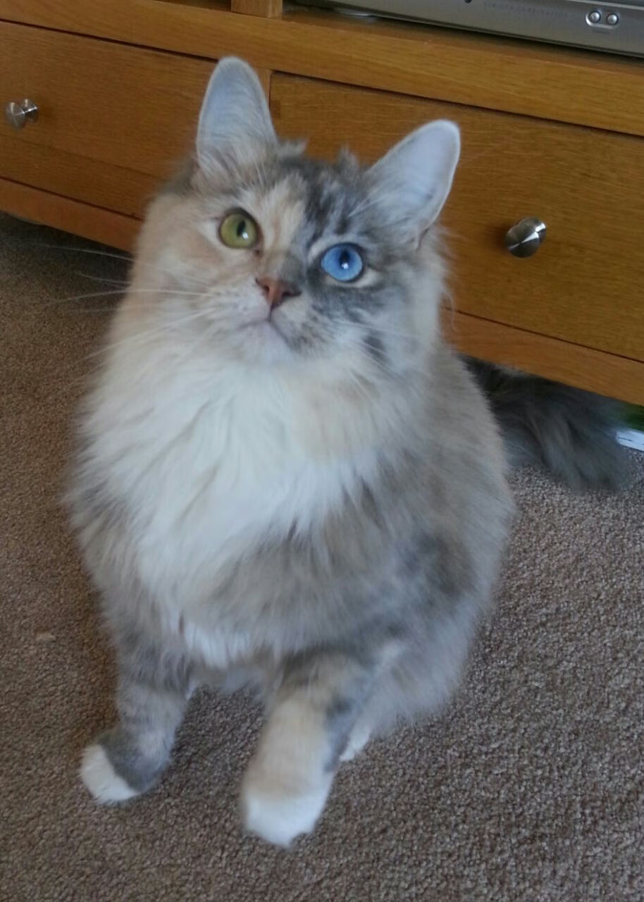 爱游戏官网-野生篮球运动在乡村地区掀起新热潮，促进乡村振兴战略，野生篮球队