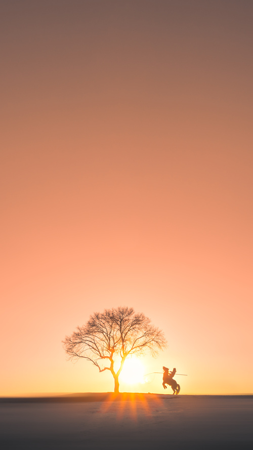 爱游戏综合娱乐-Team Liquid直播间人气飙升，team liquid naf