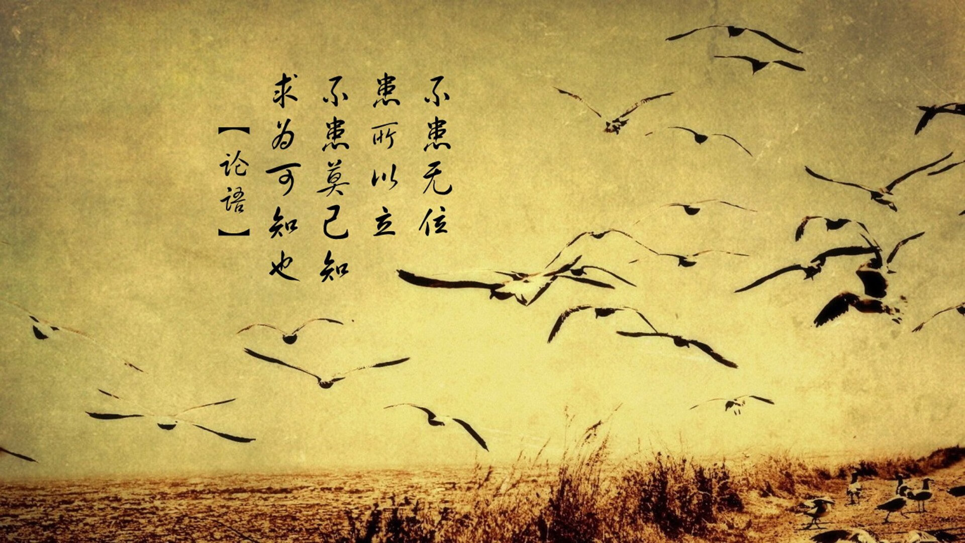 爱游戏平台-中国男足在巴黎奥运会比赛中以1-0战胜意大利，奥运会男足中国对巴西