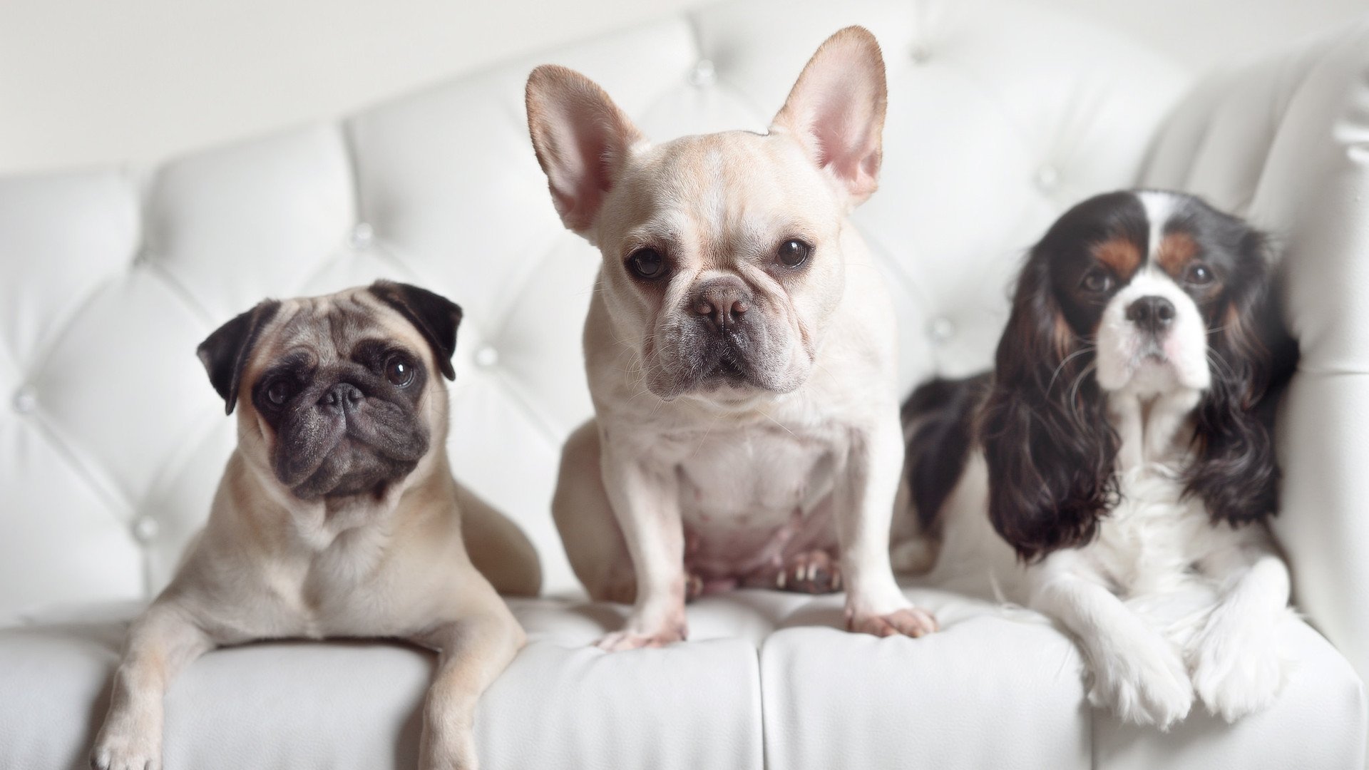 劲旅互搏!比赛如火如荼,双方你来我往,劲旅集团怎么样