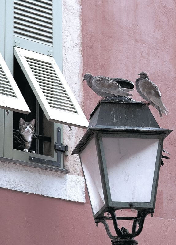 壯觀觀眾席，場外氛圍熱烈，賽事高潮迭起，形容观赛现场观众的词语