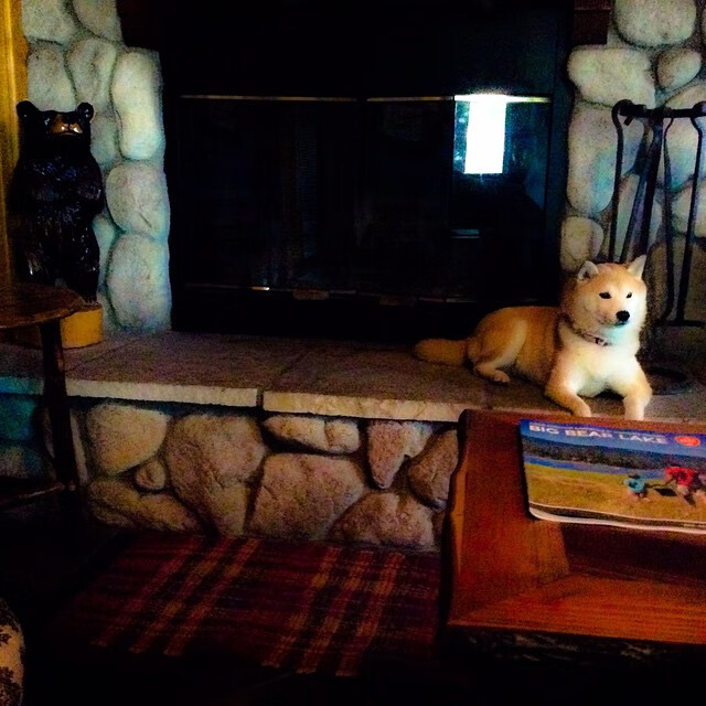 塞维利亚客场胜出，继续保持追赶态势，塞维利亚又夺冠了