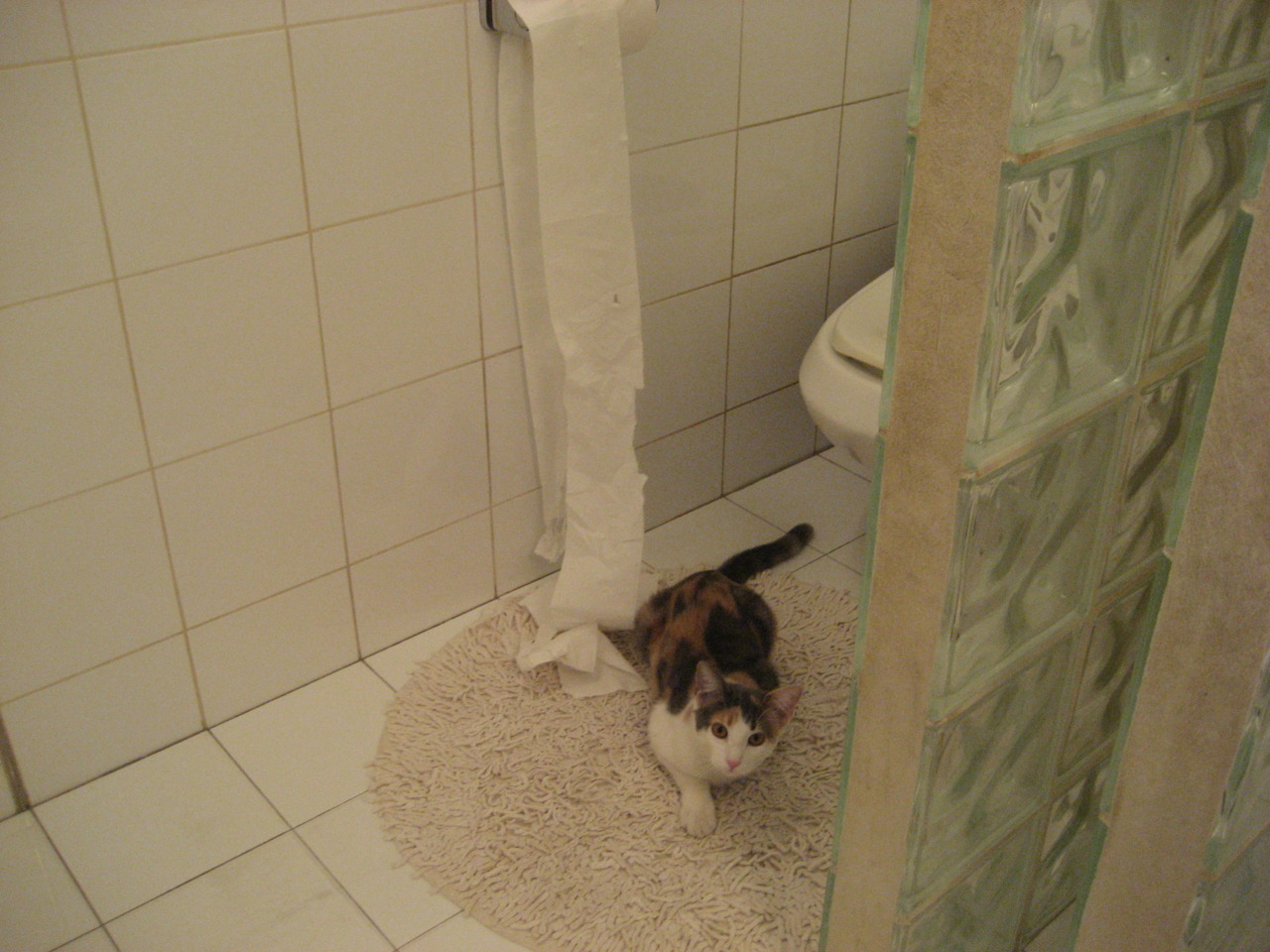 训练场标准是否应向欧战参赛标准靠拢，训练场算不算参赛时间