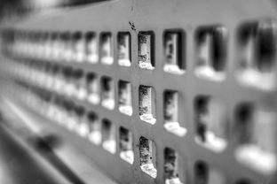 爱游戏体育官方网站-高校运动训练科学管理模式创新实践，运动训练科研管理工作要求