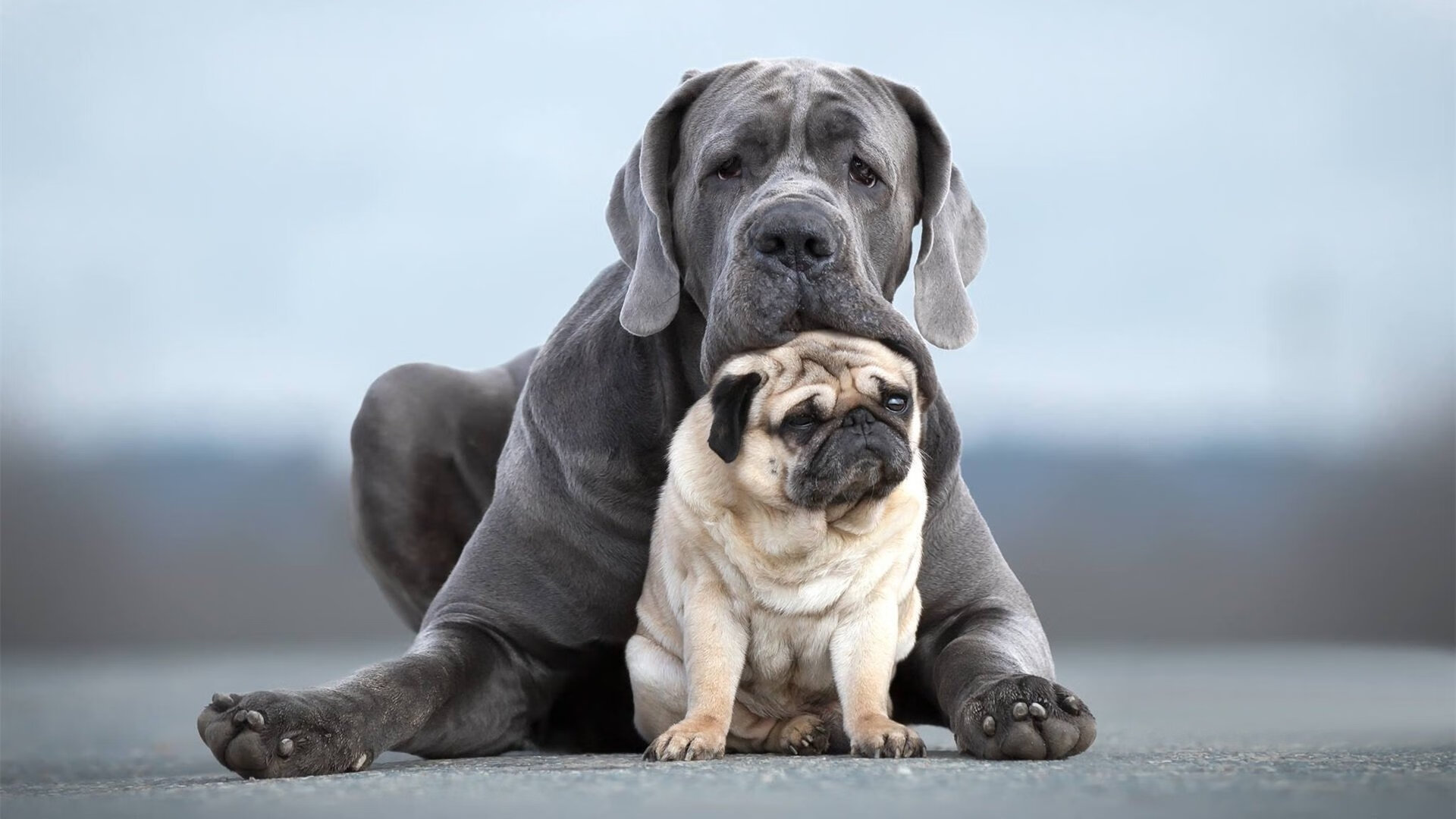 国际赛场表现引发反思国内联赛竞争是否足够，国际赛场上
