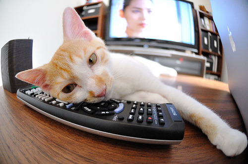 奥预赛中国队战平 球迷鼓励球队继续努力，奥预赛男足直播赛程