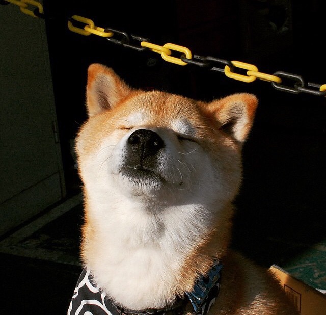 训练中心配置心理恢复室提升选手情绪管理,心理康复训练营