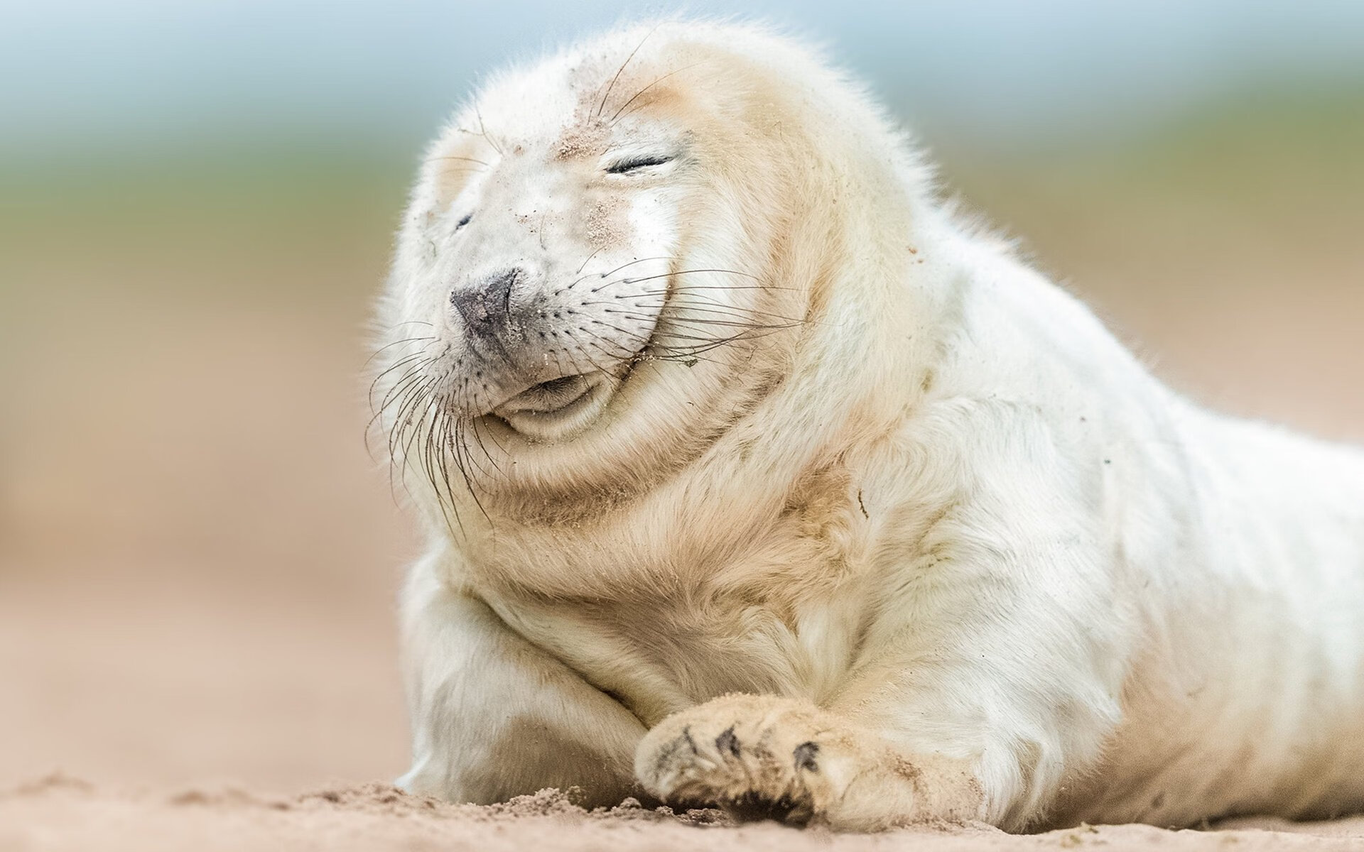 篮球青少年挑战赛圆满收官,青少年篮球选拔