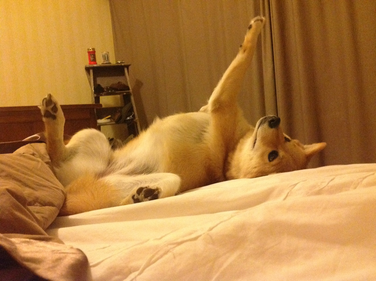 爱游戏体育app-英超终极较量：力争上游，精彩不断，英超专题