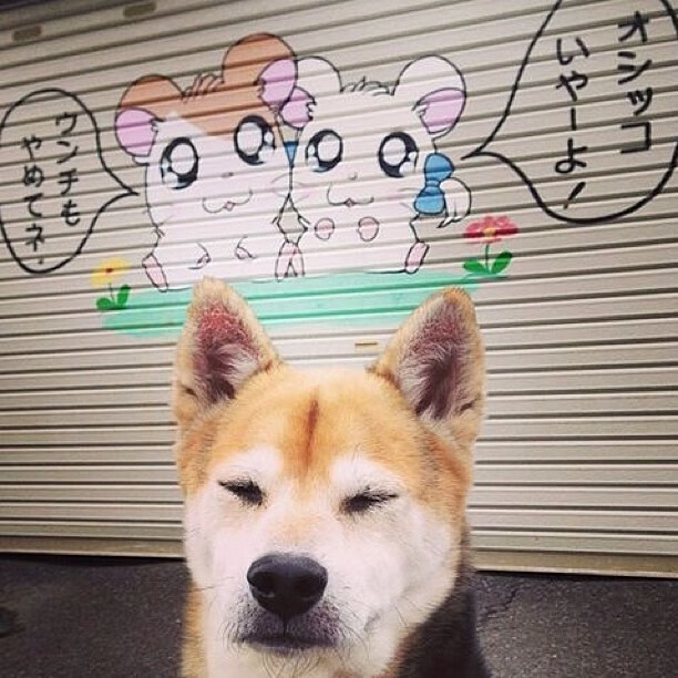 阿联酋男篮在亚洲预赛中赢得关键胜利